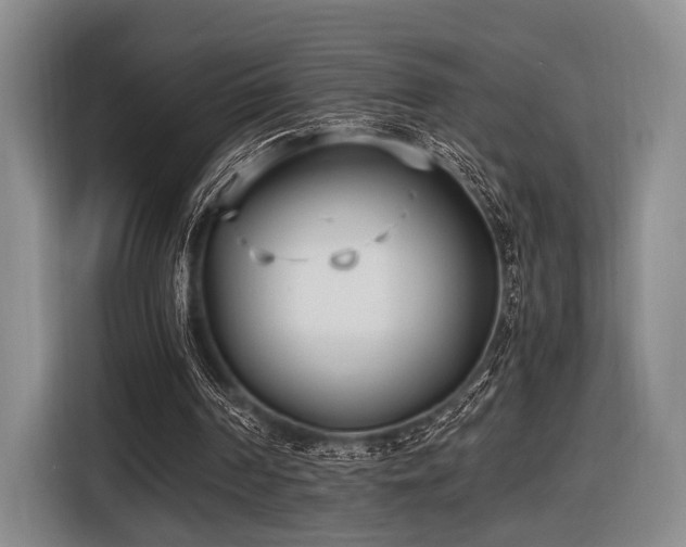 X0000116620194200912111203