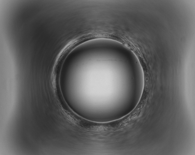 X0000116620197200912111203
