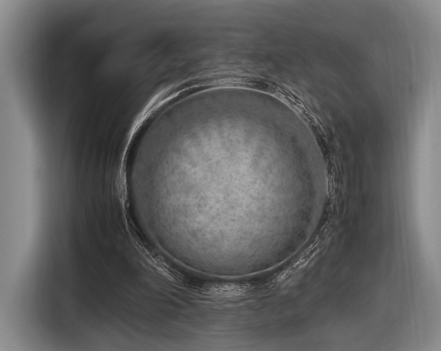 X0000116620198200912111203