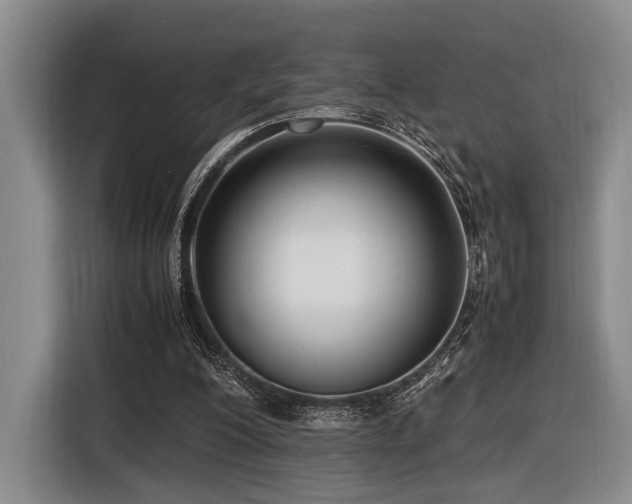 X0000116620200200912111203