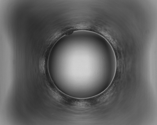 X0000116620201200912111203