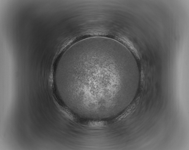 X0000116620202200912111203