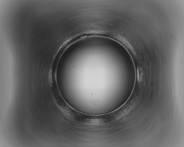 X0000116620204200912111203