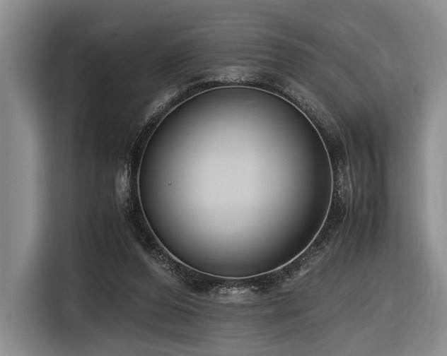 X0000116620208200912111203