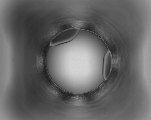 X0000116620211200912111203
