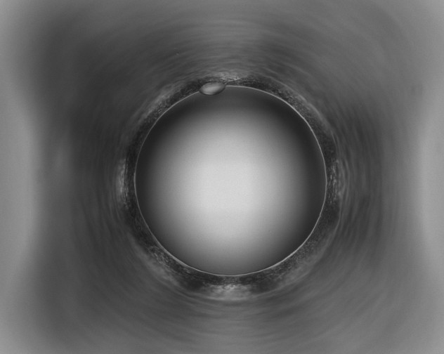 X0000116620212200912111203