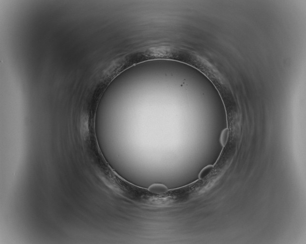 X0000116620213200912111203