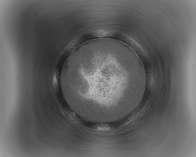 X0000116620214200912111203