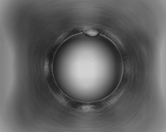 X0000116620216200912111203