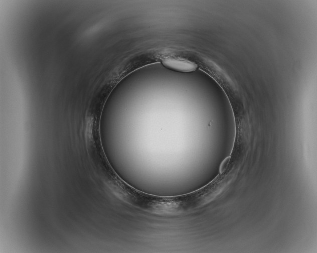 X0000116620217200912111203
