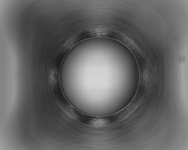 X0000116620218200912111203