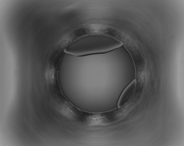 X0000116620219200912111203