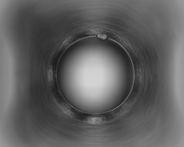 X0000116620220200912111203