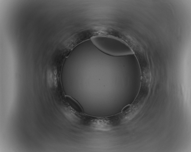 X0000116620223200912111203