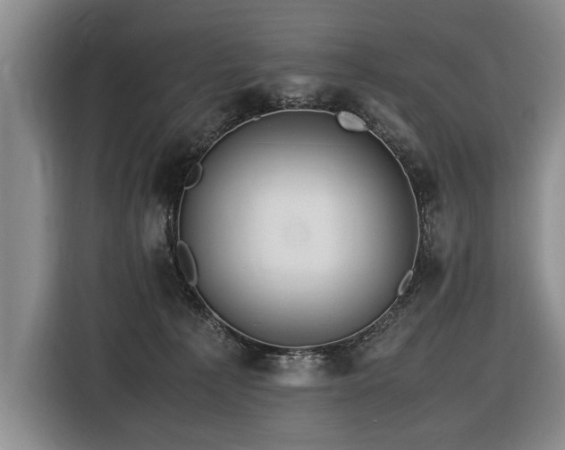 X0000116620225200912111203