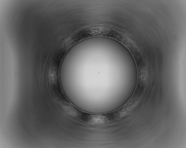 X0000116620226200912111203