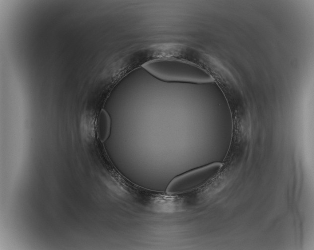 X0000116620227200912111203
