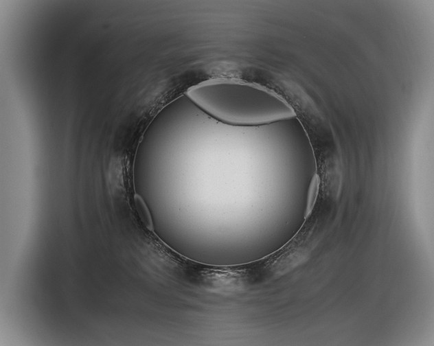 X0000116620229200912111203