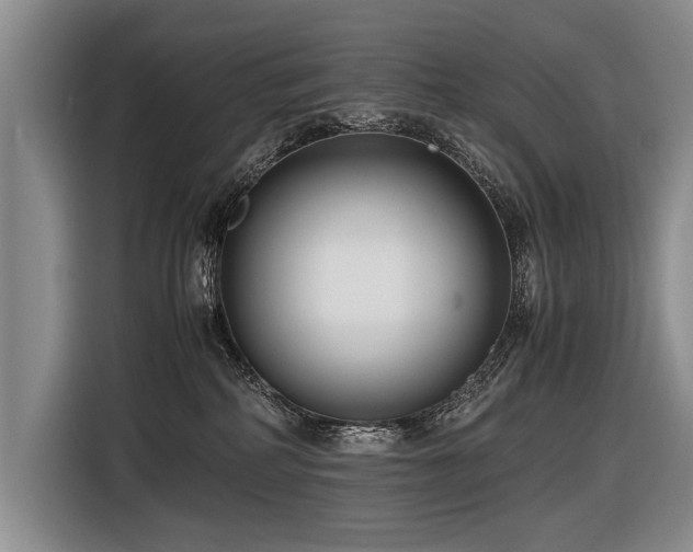 X0000116620234200912111203