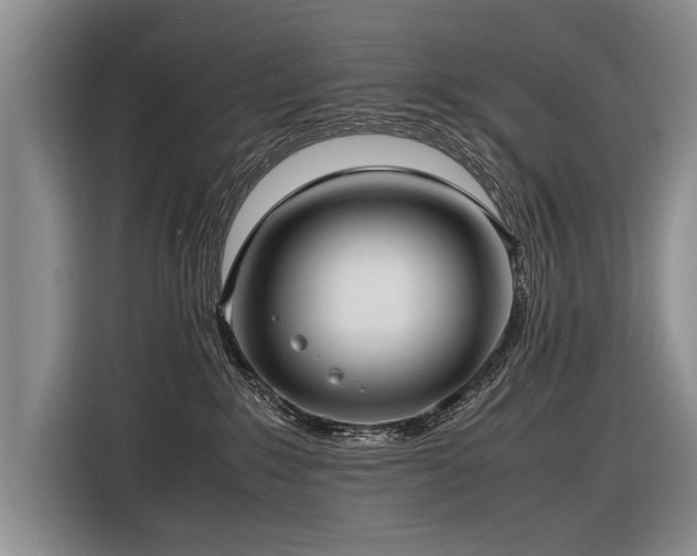 X0000116620235200912111203