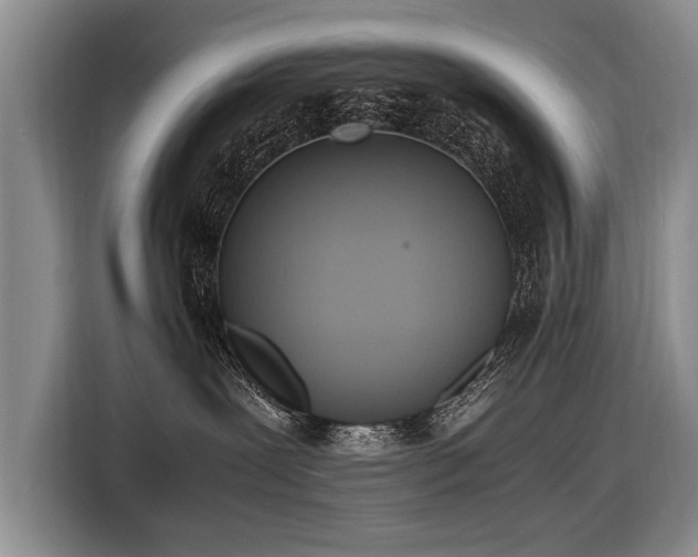 X0000116620239200912111203