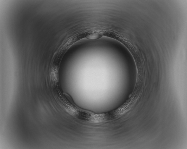 X0000116620240200912111203