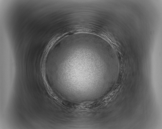 X0000116620241200912111202