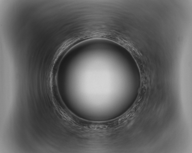X0000116620242200912111202