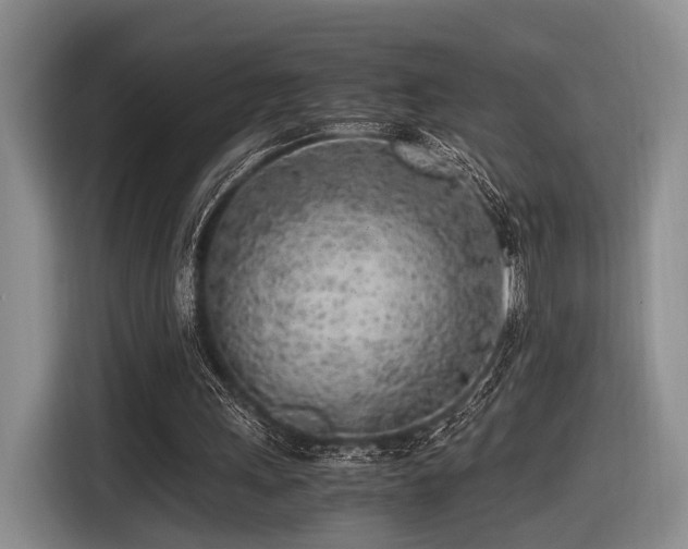 X0000116620243200912111202