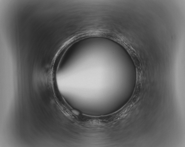 X0000116620244200912111202