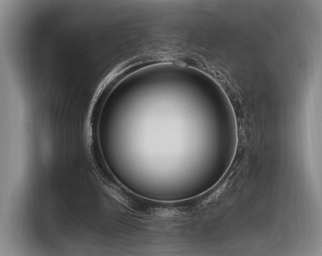 X0000116620246200912111202