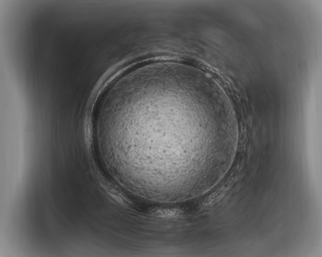 X0000116620247200912111202