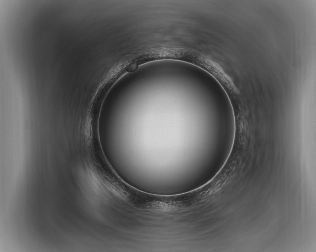 X0000116620250200912111202