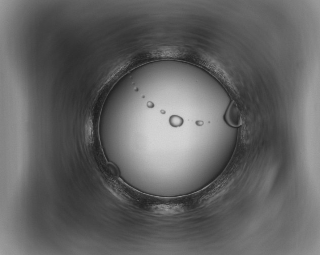 X0000116620251200912111202