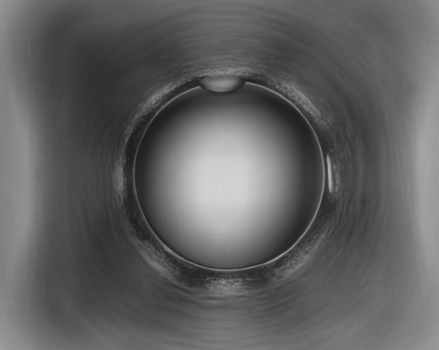 X0000116620252200912111202