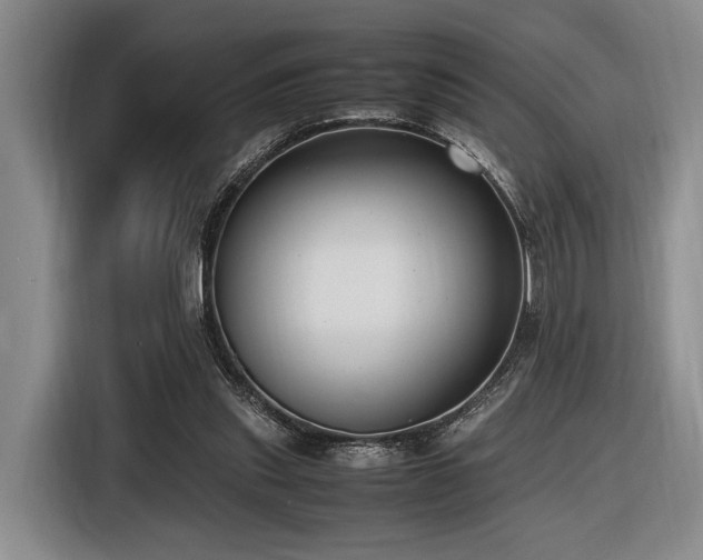 X0000116620253200912111202