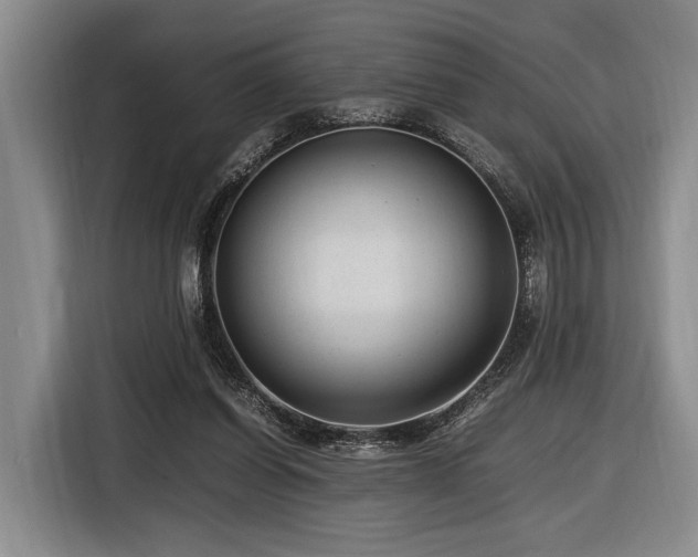 X0000116620254200912111202
