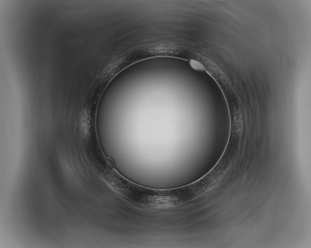 X0000116620255200912111202