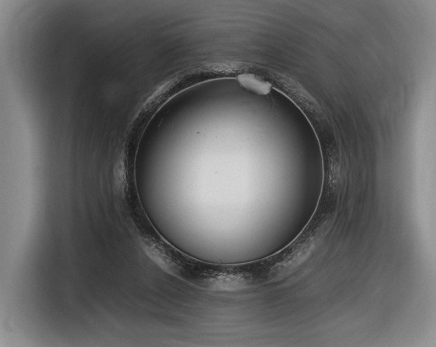 X0000116620256200912111202