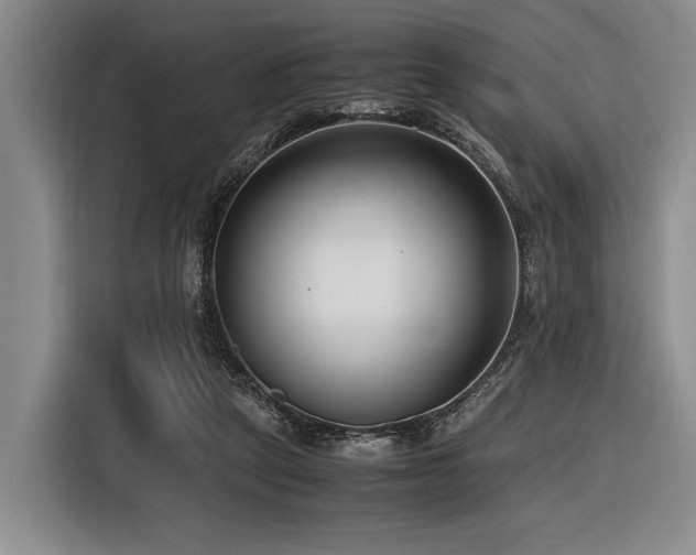 X0000116620257200912111202