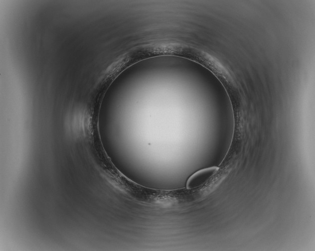 X0000116620258200912111202