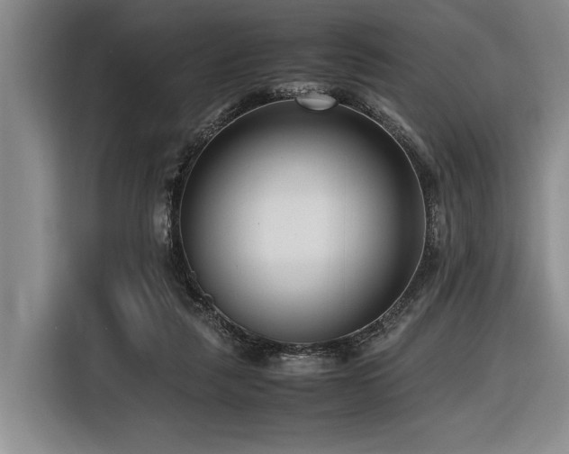 X0000116620259200912111202