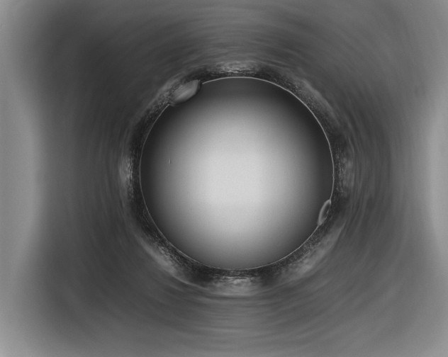 X0000116620260200912111202