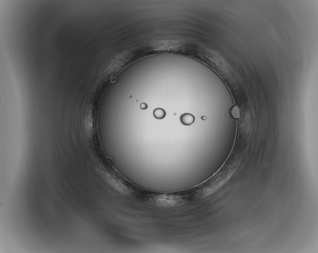 X0000116620261200912111202