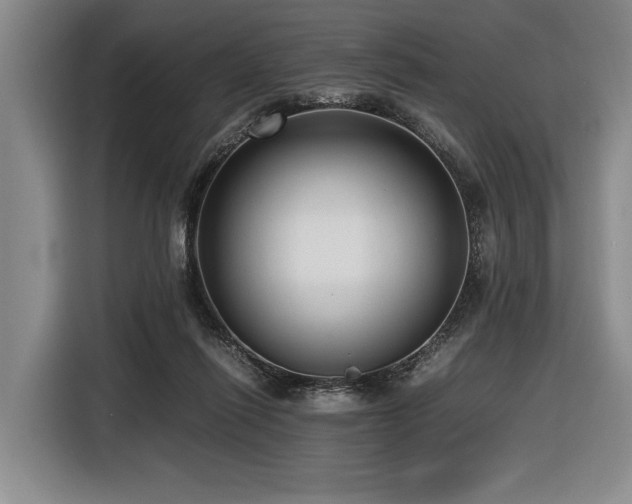 X0000116620262200912111202