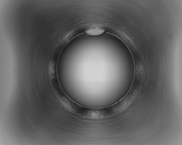 X0000116620264200912111202