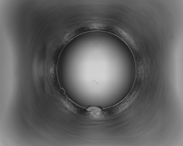 X0000116620265200912111202