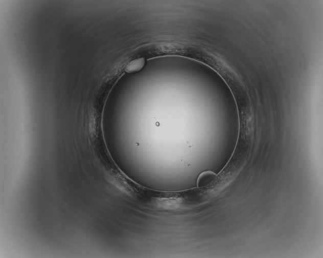 X0000116620266200912111202