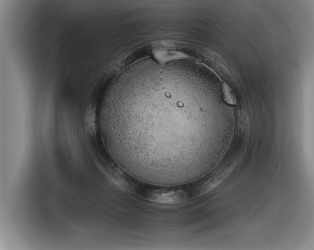 X0000116620267200912111202