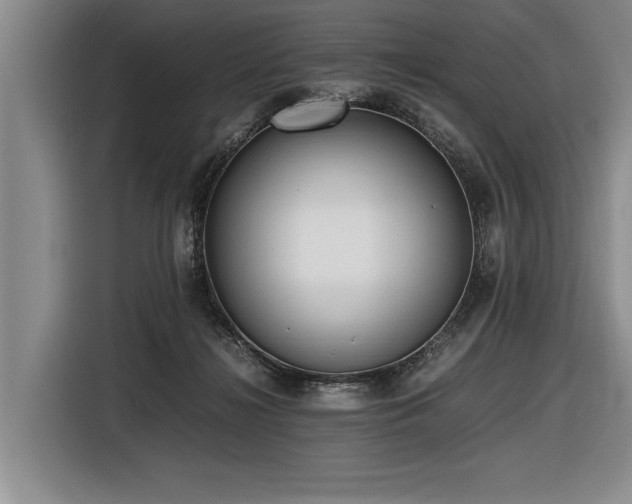 X0000116620268200912111202